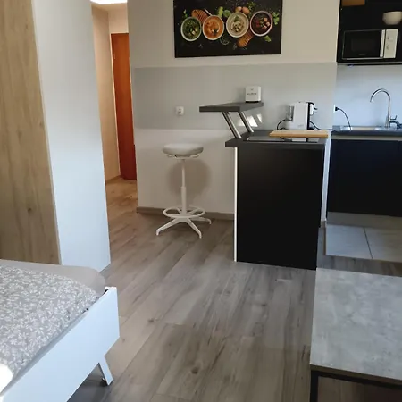 Apartma Dolgi Любляна